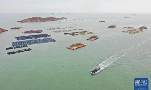 治疗缺铁性贫血宜选用什么-【治缺铁贫血药有那些药物】治疗缺铁性贫血的药物 - 治疗缺铁贫效果最好的药物网