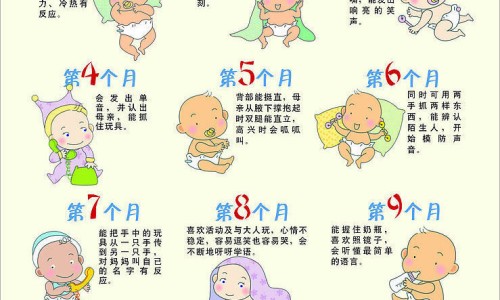 治疗缺铁性贫血的食物-【治缺铁贫血药有那些药物】治疗缺铁性贫血的药物 - 治疗缺铁贫效果最好的药物网