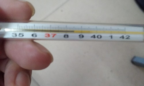 【治缺铁贫血药有那些药物】治疗缺铁性贫血的药物 - 治疗缺铁贫效果最好的药物网